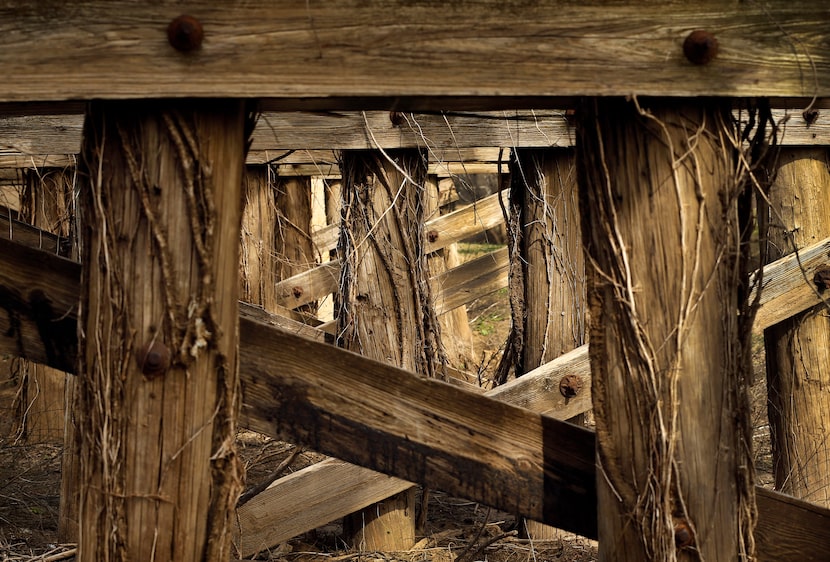 Dormant vine covers the old Atchison Topeka & Santa Fe (AT&SF) Trestle Bridge Structure, the...