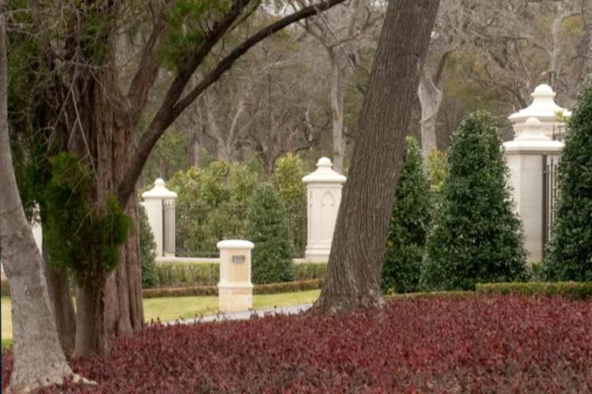 
Purple wintercreeper gets its name because the plants deep green Summer color fades to a...