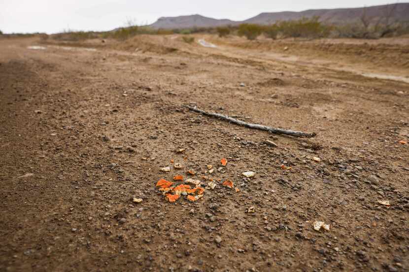 Pedazos de cáscara de naranja permanecen en la tierra de Chispa Road, en el condado Jeff...