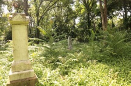  Another look inside McAdam's Cemetery (Courtesy Barry Koda)