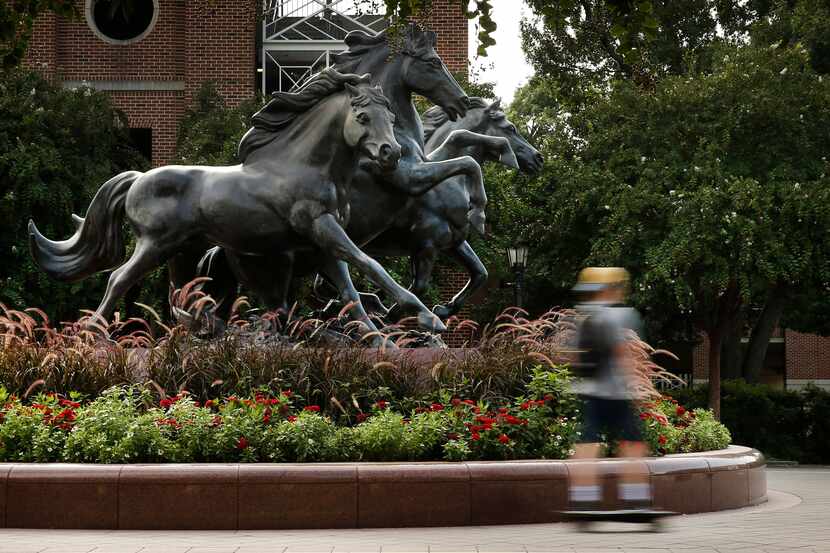 A student skateboards past a bronze sculpture of racing Mustangs on the Southern Methodist...