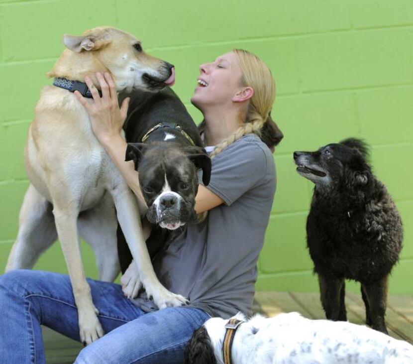 
Stay Pet Resort manager Melissa Jackson plays with the dogs in the outside yard.
