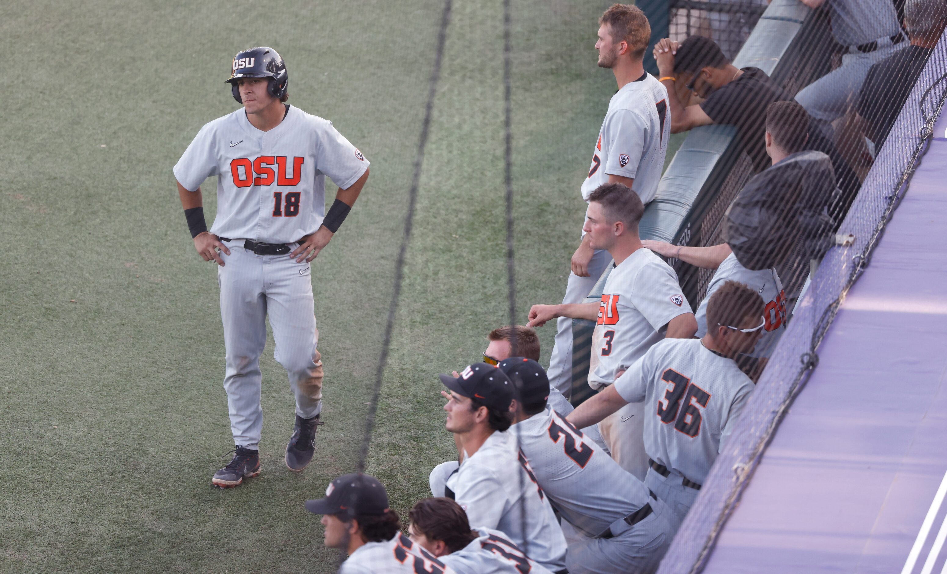 Oregon St.’s Ryan Ober (18) and his teammates watch  Dallas Baptist celebrate their 8-5 win...