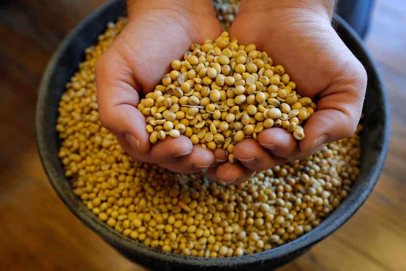 Any inkling of improving trade relations between the U.S. and China could boost soybean prices.