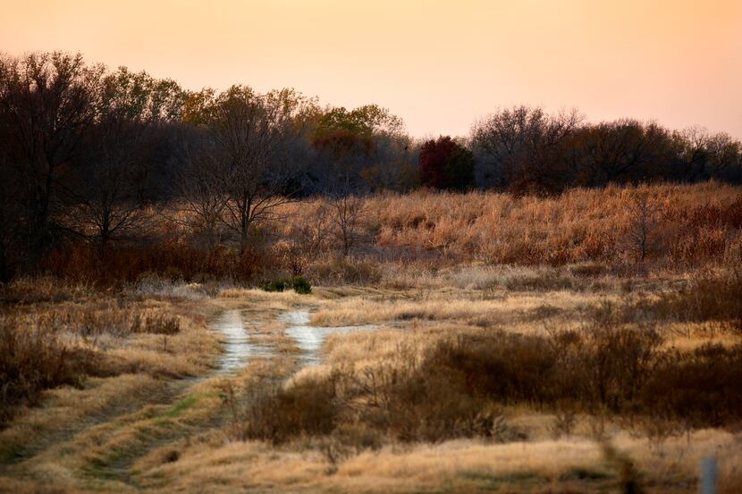 The sun sets over land owned by the City of Dallas in the Great Trinity Forest where a...