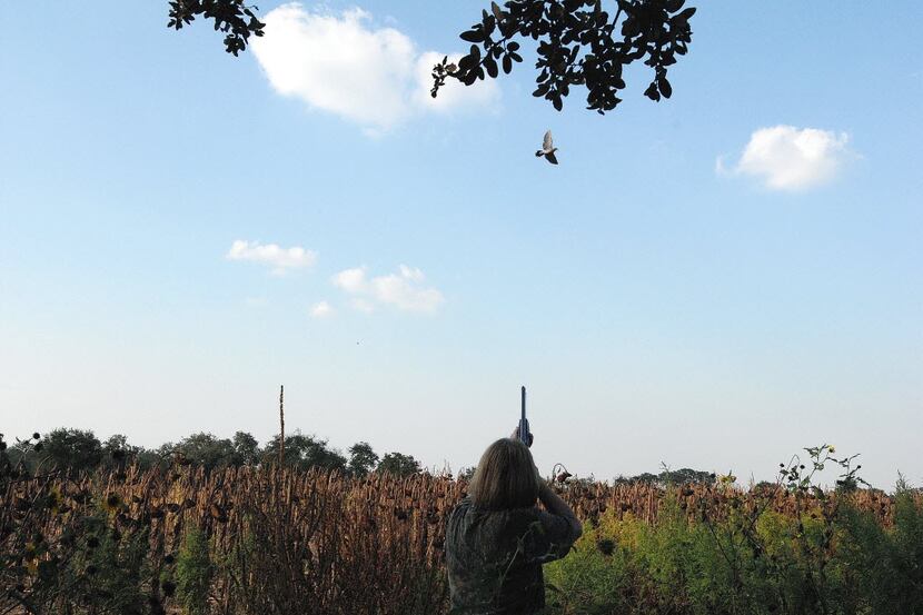 Most shotgun shells used by dove hunters contain 400-plus lead pellets. Hunters responding...