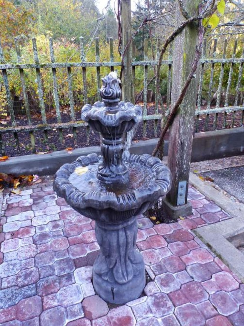 
If you decide to turn off water features, make sure waterlines and fixtures are drained so...