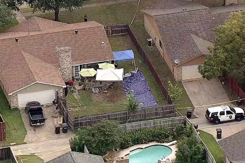Law enforcement investigators worked Sept. 10 in the backyard of a Plano home where, the day...