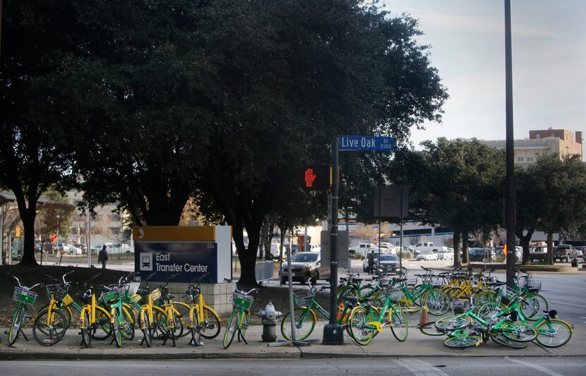 Thirty rental bikes are propped and piled on the corner of Live Oak and Olive streets in...