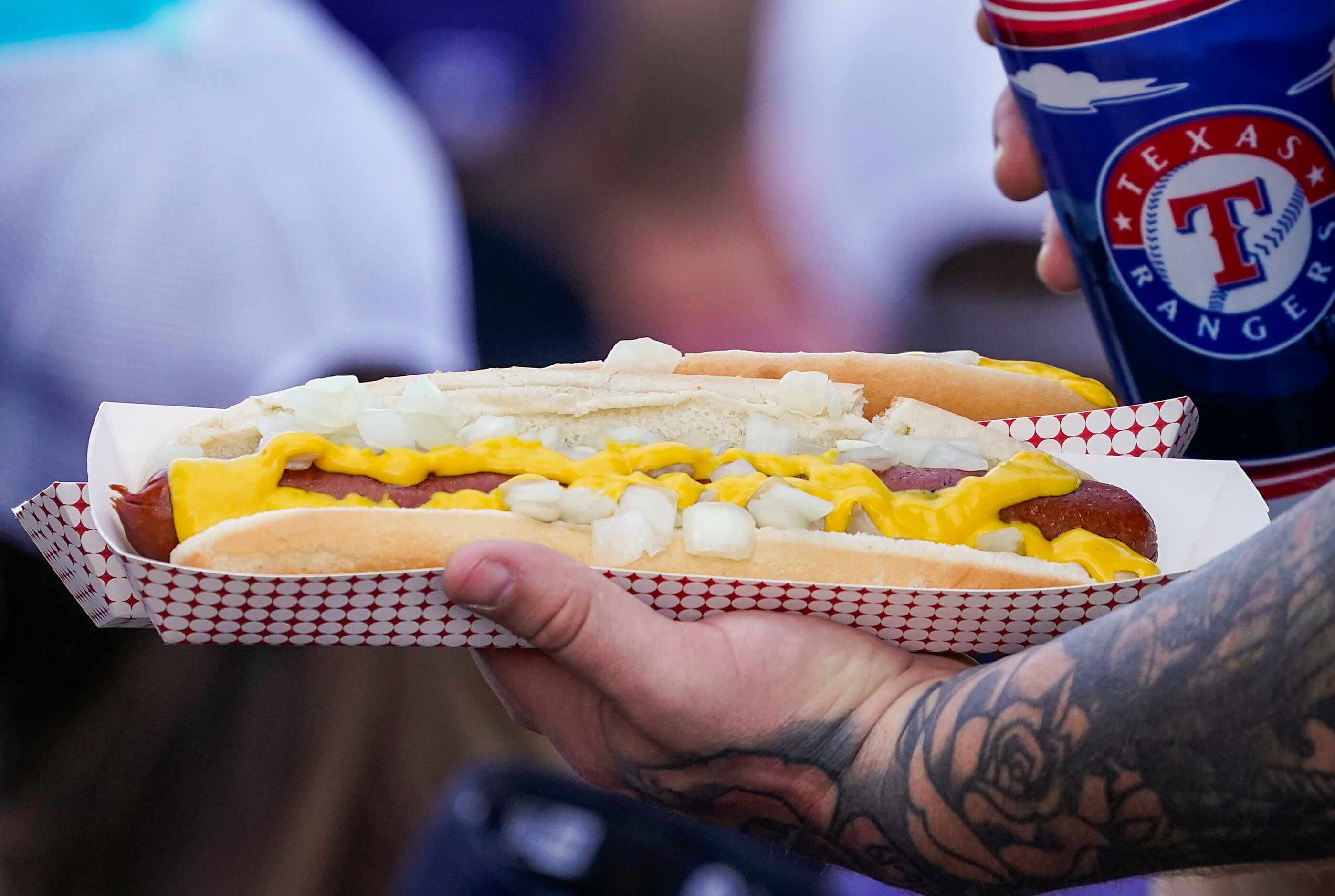 A fan heads to his seat with a foot long hotdog during a spring training game between the...