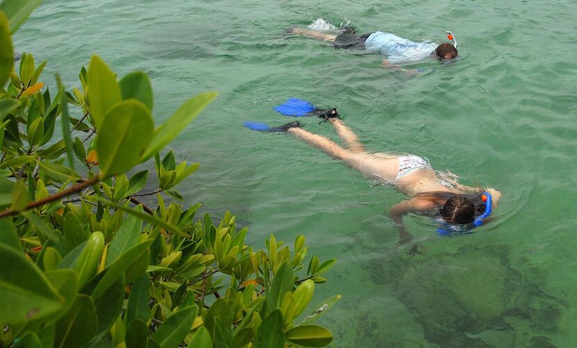 
To protect the ecosystem, snorkelers who wish to see the coral formations of Yal-Ku Lagoon...