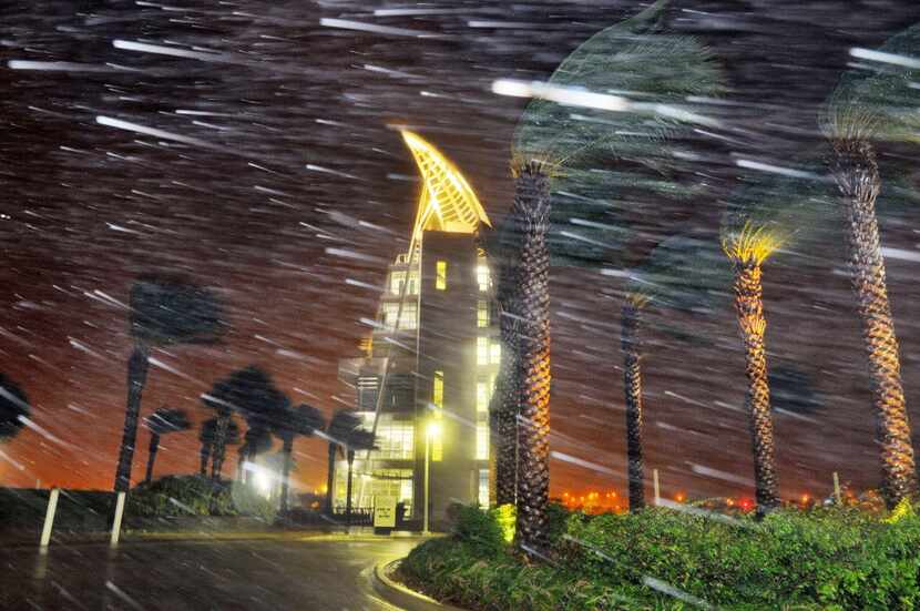 Trees sway from heavy rain and wind from Hurricane Matthew  in front of Exploration Tower...