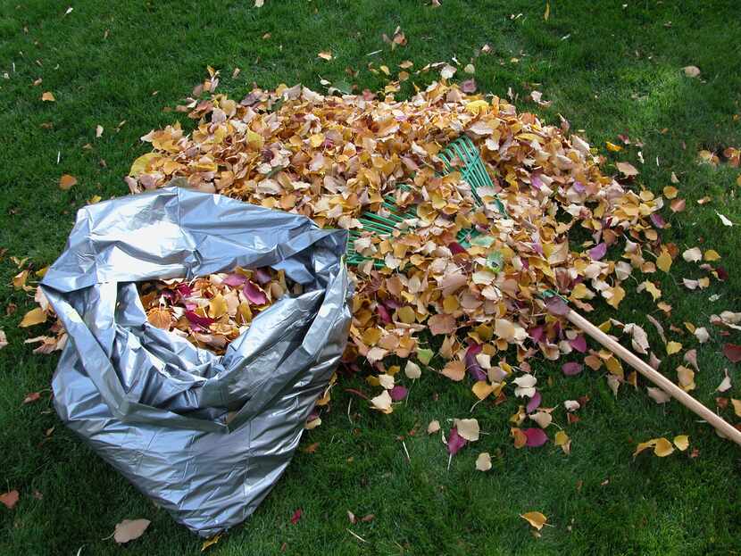 Not even the back-breaking raking and bagging of fallen leaves suits everyone, but the...