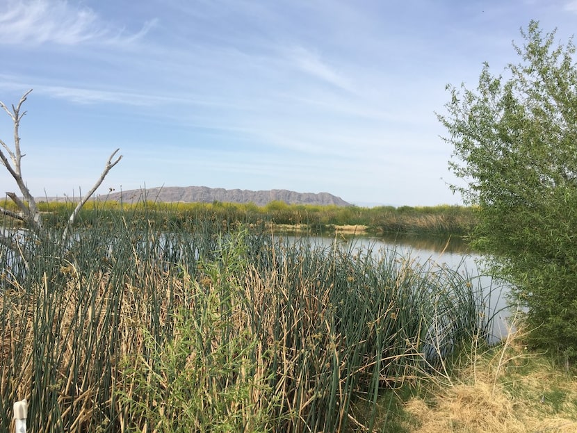 The Rio Grande is the international boundary that defines much of the Texas-Mexico border. 