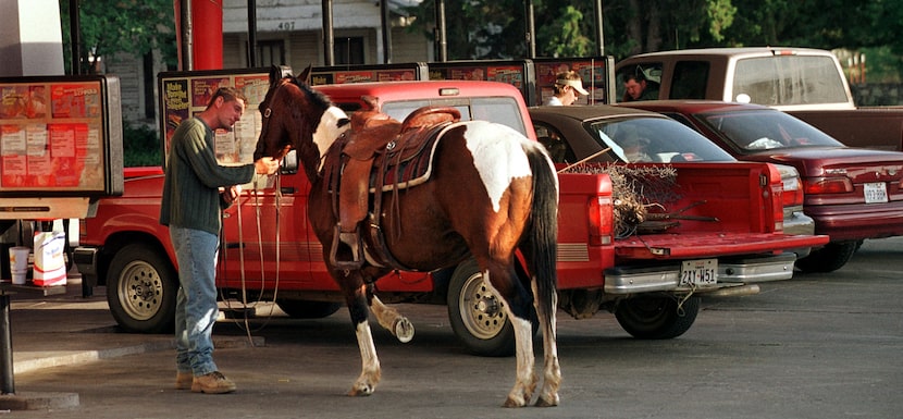 In 2001, Paul Moore and filly, Tarzan, rode 10 blocks into town for a burger and fries at...