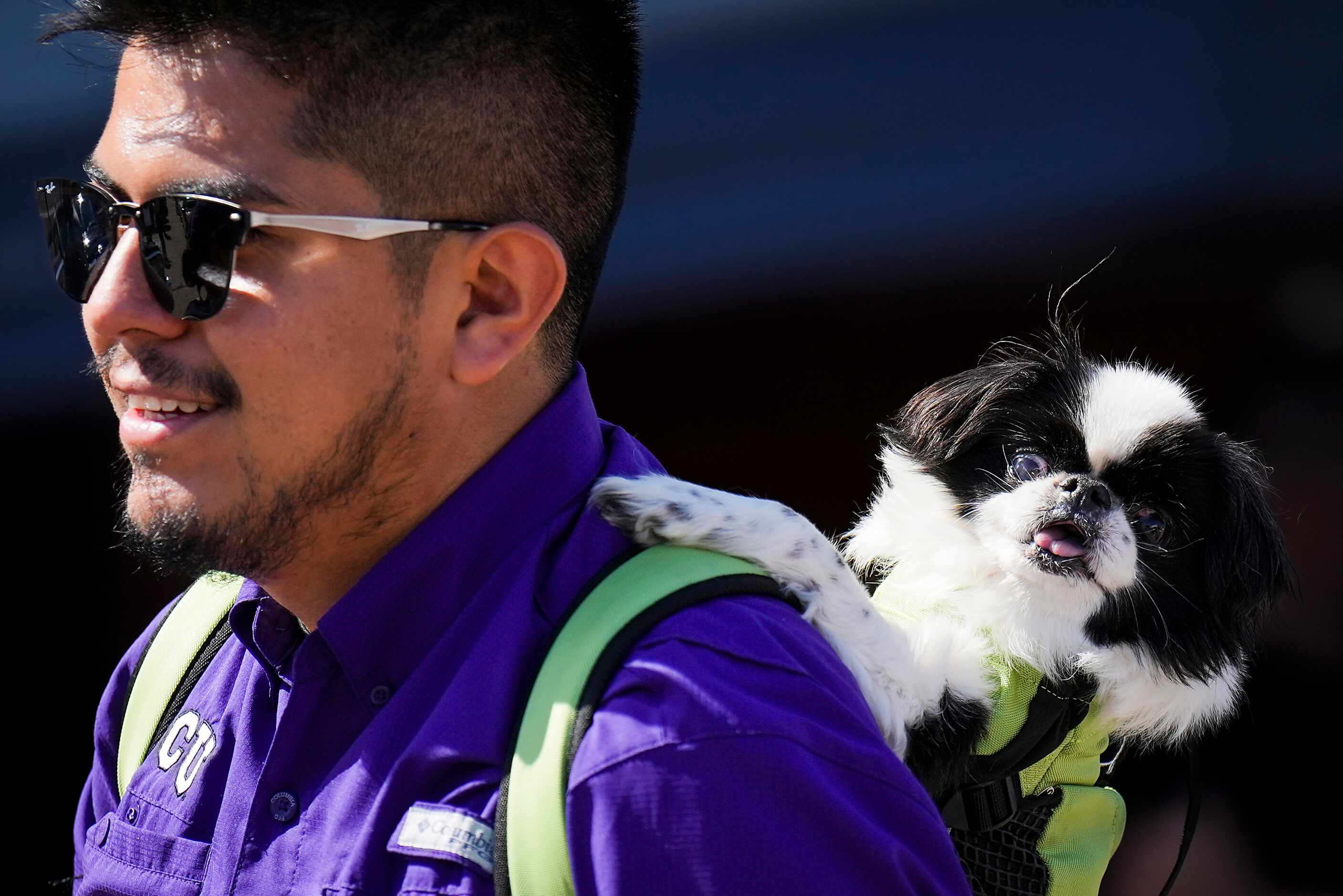 Daniel Castro carries his dog Jack in a backpack during the 214Selena celebration, honoring...