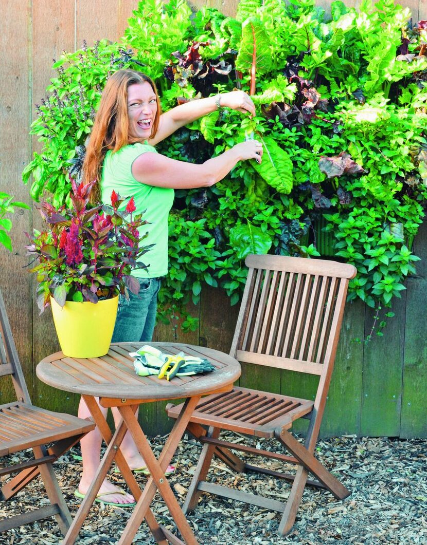 
Vertical planting has the benefit of offering beauty and privacy, says Shawna Coronado,...