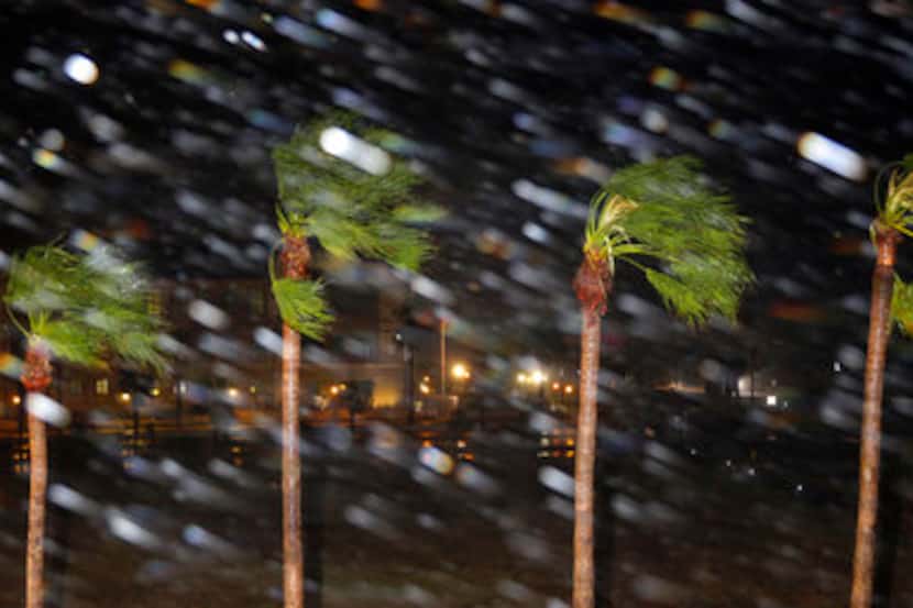 Una intensa lluvia y el viento azotan unas palmeras ras la llegada del huracán Harvey a...