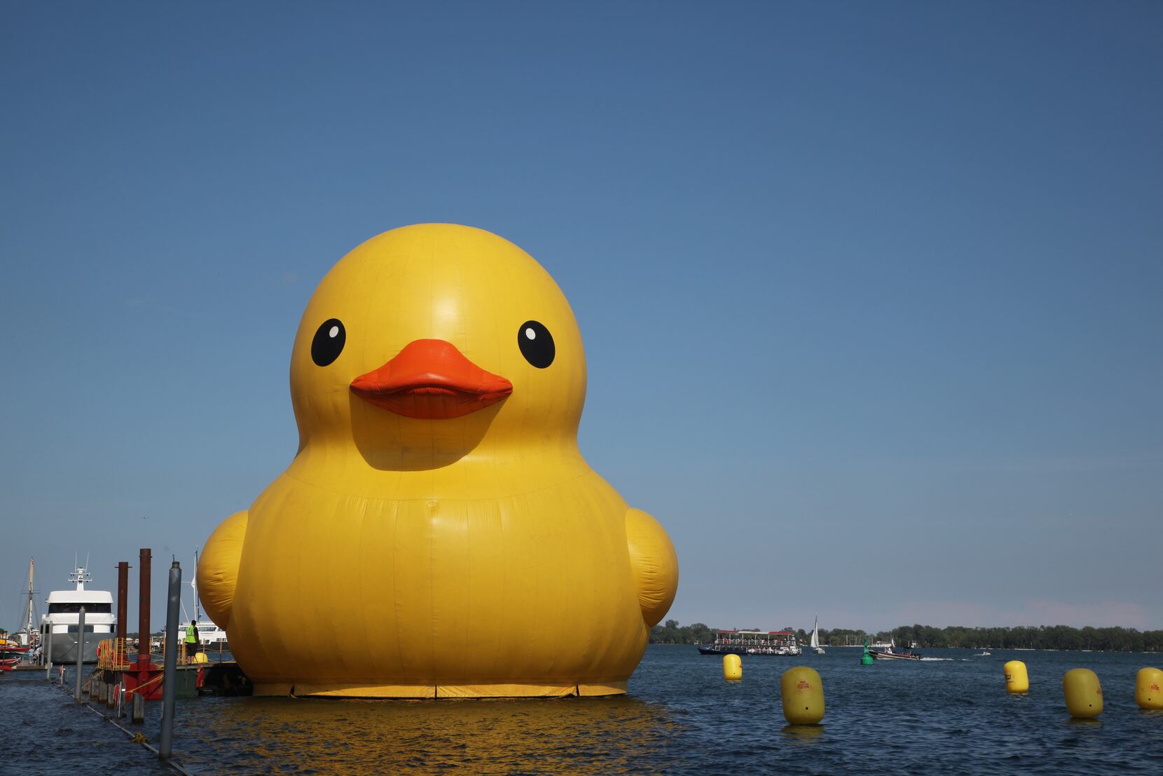 Ontario Giant Rubber Duck Is Counterfeit, Says Artist Who Created