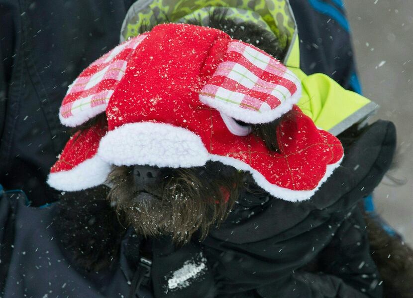  A man holds his dog bundled against the cold in Rock Creek Park during a snowstorm in...