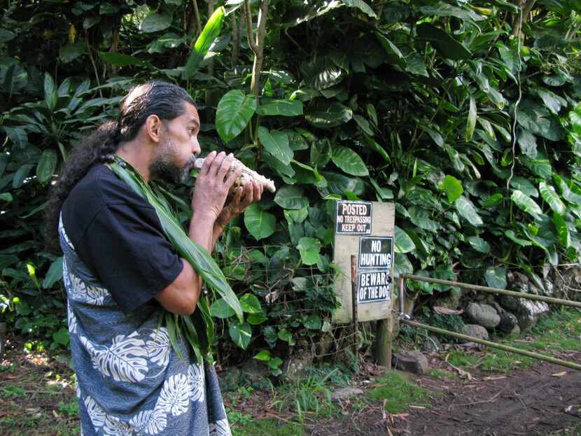 
Gregorson Rider demonstrates blowing a conch shell as a means for asking permission to...