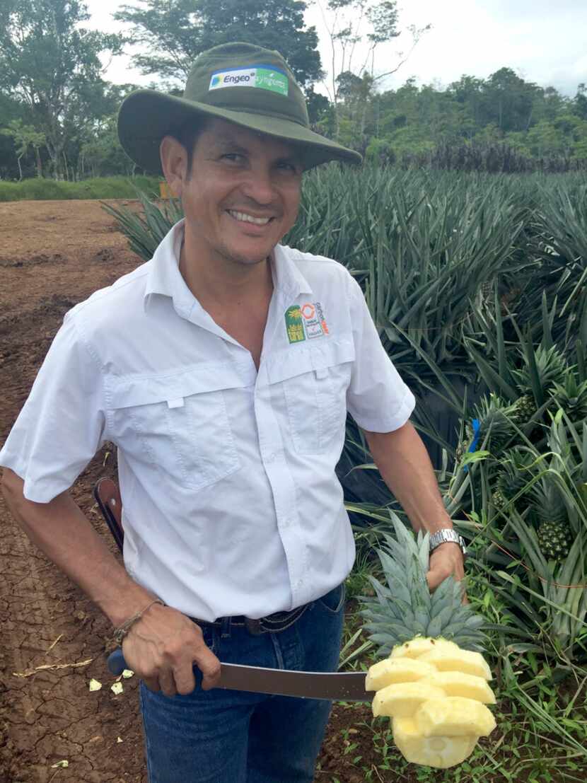 Isaac Bustos Boza, farm manager at Valle del Tarso, a certified organic enterprise In Upala,...