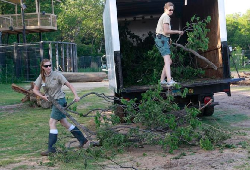 
Zookeepers Amy Karber, left, and Bobbi Wessels, unload a truck of browse to feed animals in...