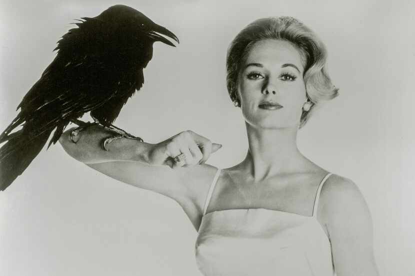 Tippi Hedren in a promotional image for "The Birds." (Credit: AF Archive.)