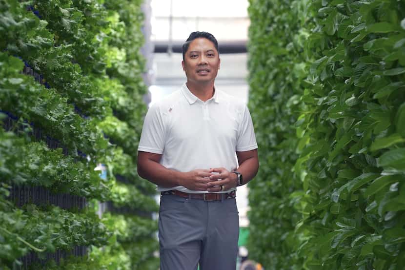 Eden Green Technology CEO Eddy Badrina says his company's greenhouses rely mostly on natural...