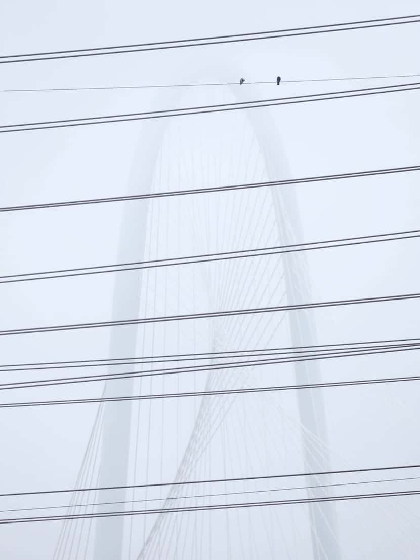 The Margaret Hunt Hill Bridge was partly obscured by fog, as seen through electric...