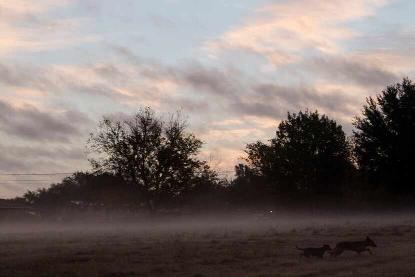 Early morning Nov. 6 in Sutherland Springs, a few blocks from the First Baptist Church where...