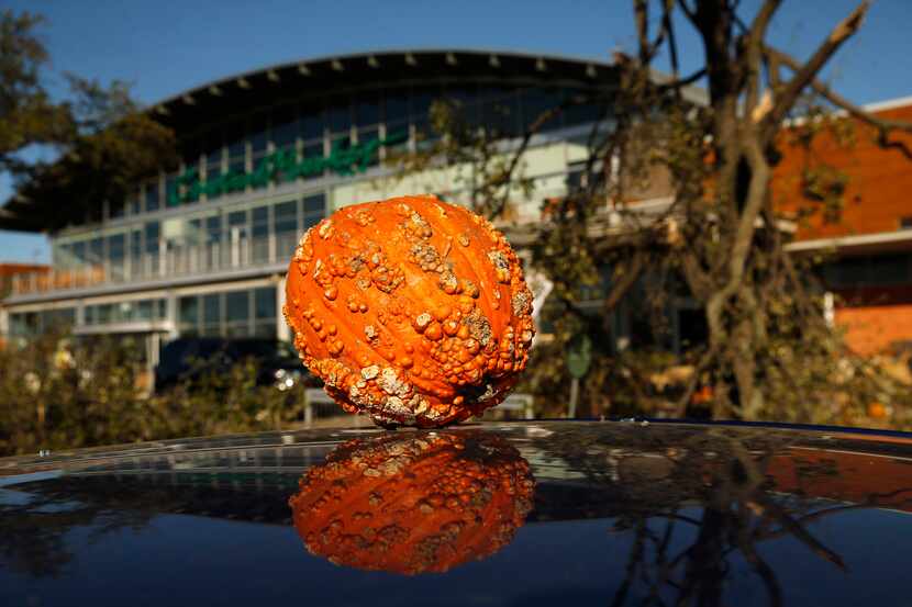 Pumpkins were thrown around the parking lot outside the Central Market after a tornado tore...