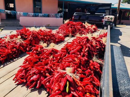 Truckloads of Ristas for holiday decorations arrive daily in Hatch, N.M., capital of red and...