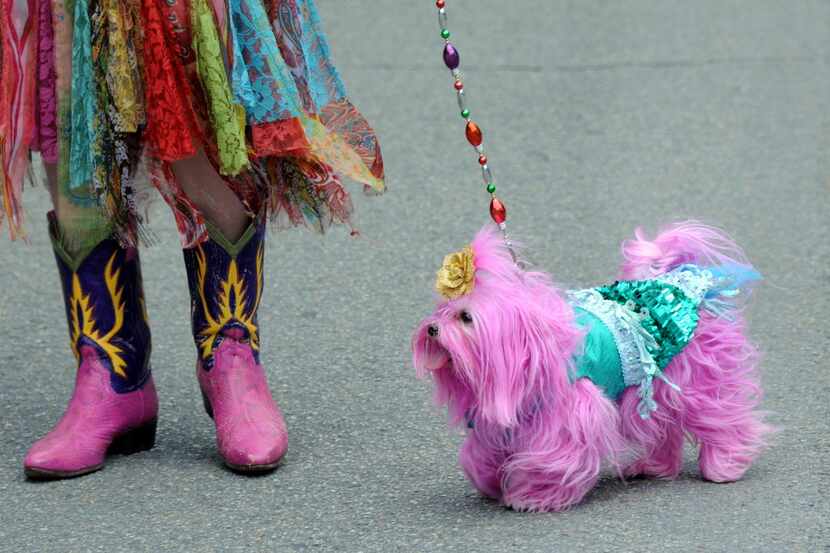 The annual Easter in Lee Park pooch parade was a highlight of the event, which has been...
