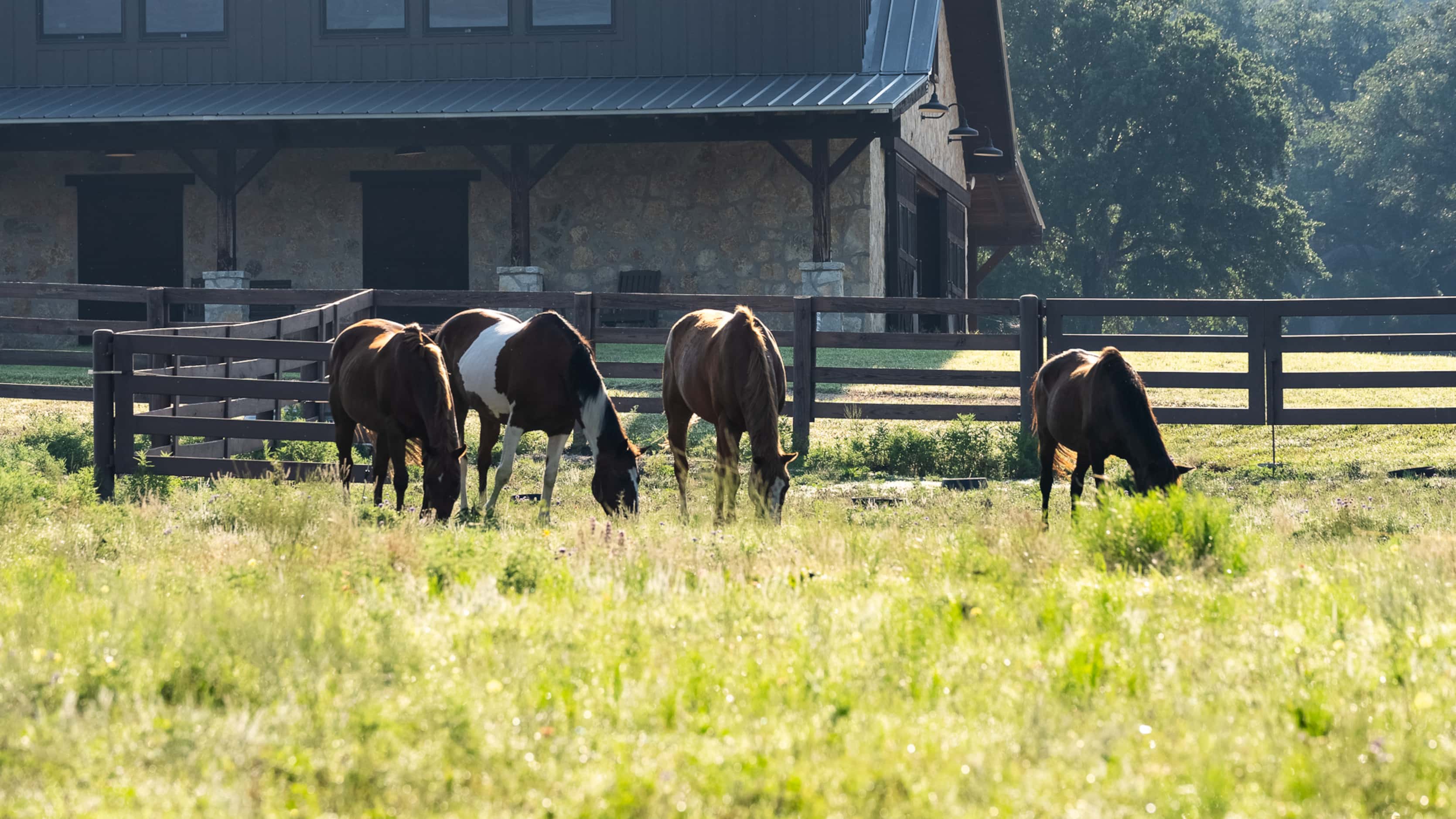 Beyond facilities for horses, wildlife - from whitetail deer to quail - is abundant at the...