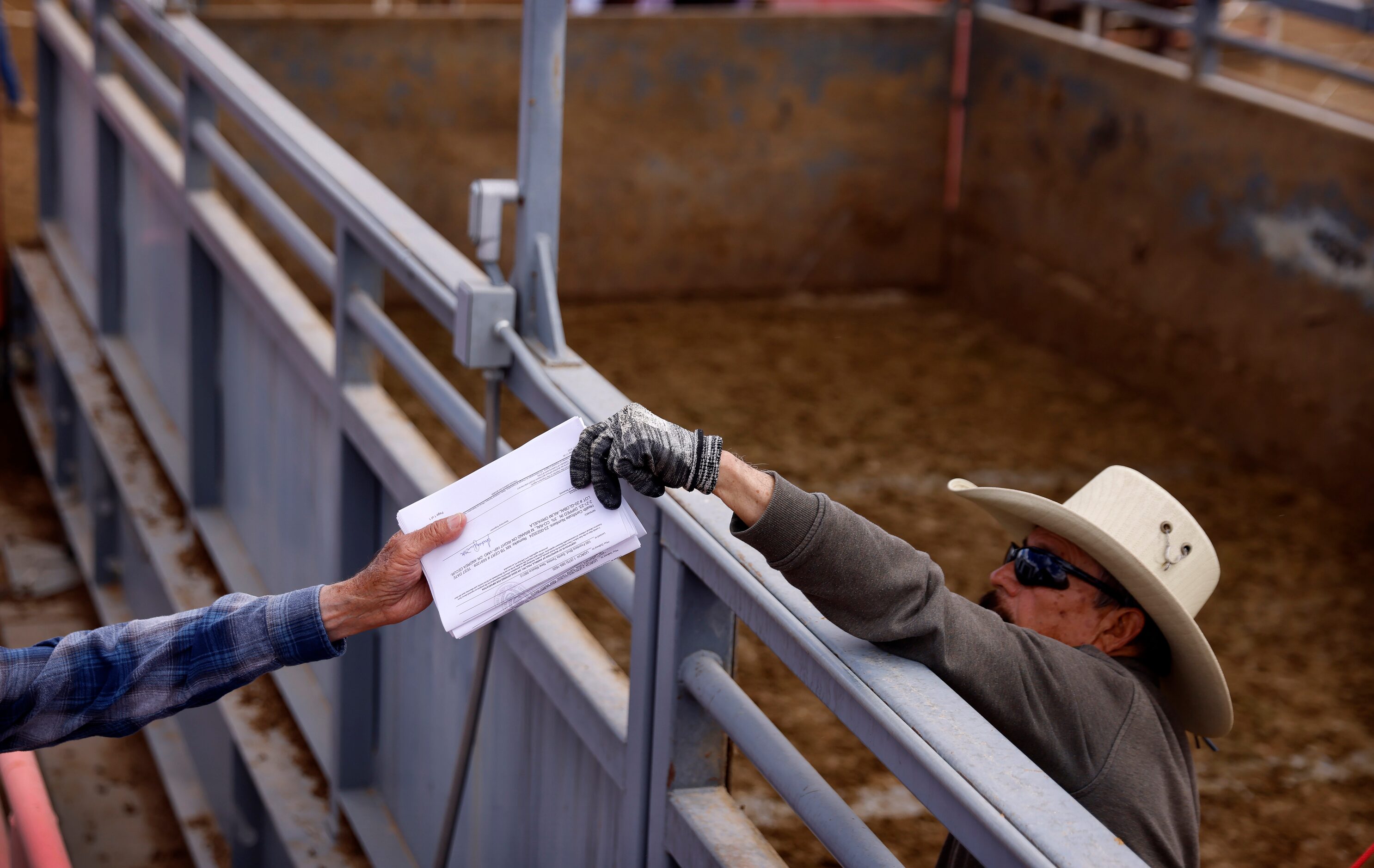 Cattle driver Alfredo Escamilla (right) hands the lot paperwork from Mexican feeder cattle...