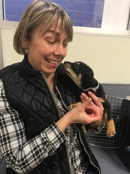 Foster Wendy Reiner holds one of the puppies she has temporarily cared for.