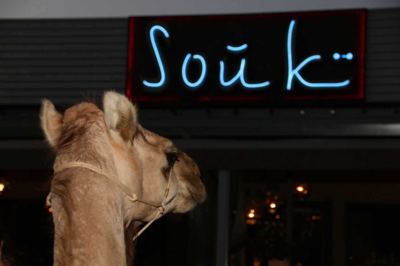 Souk at Trinity Groves held its 3rd Anniversary party on September 2. which included a live...