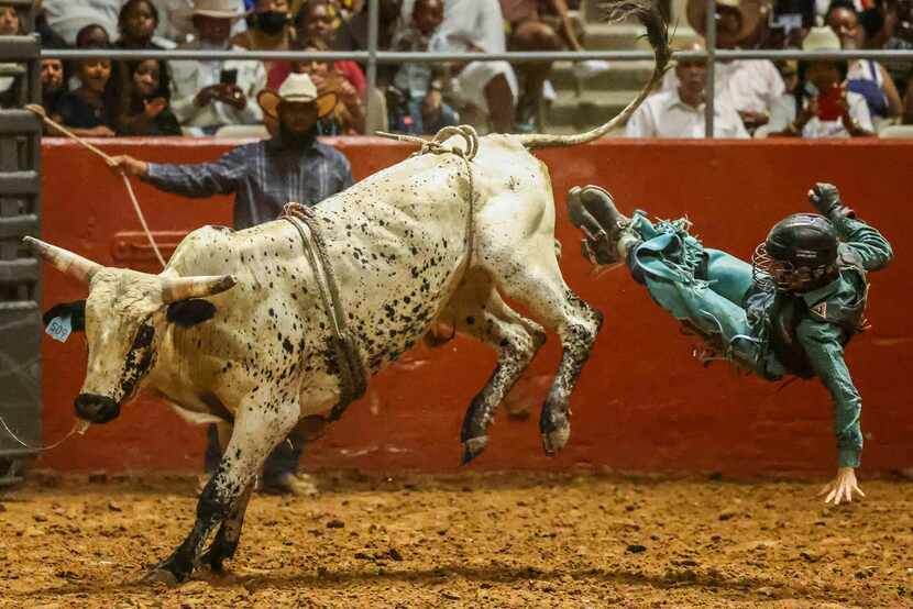 A cowboy is whipped off a bucking Bull on July, 31, 2021 at the 32nd Texas Black...