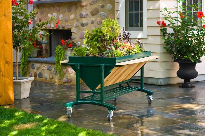 LGarden’s raised garden bed  is on four wheels for easy mobility. It’s also handy for the...