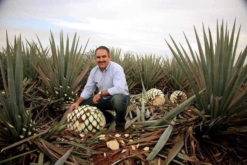 David Suro-Pinera, president of Suro Imports, a restaurateur and a tequila aficionado,...