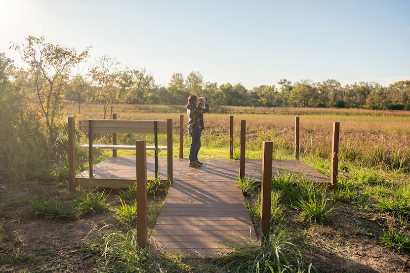 A park visitor watches wildlife from the bird watching platform at Fairfield Lake State Park.