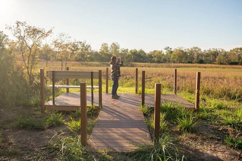 A park visitor watches wildlife from the bird watching platform at Fairfield Lake State Park.