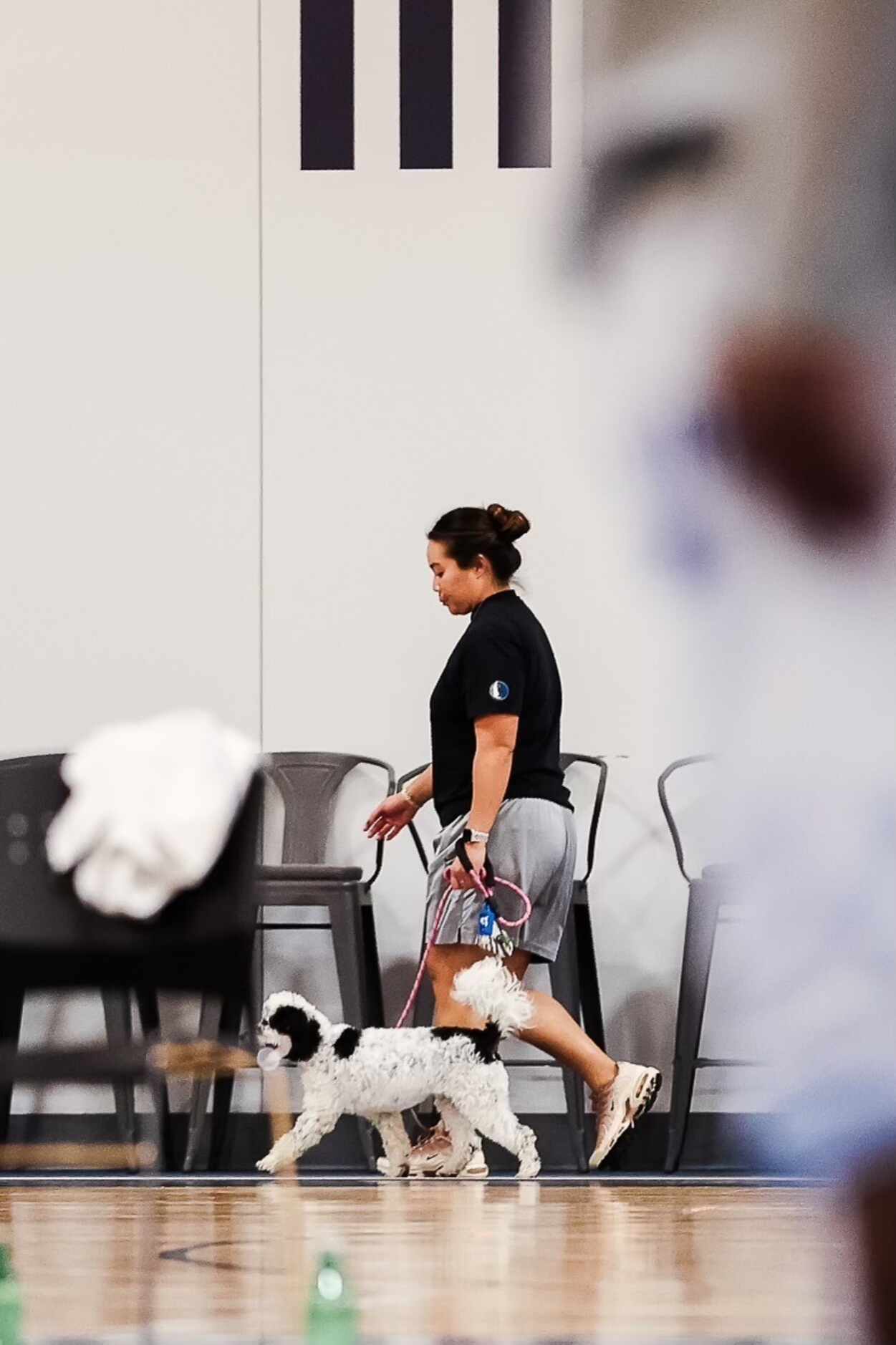 Mavericks assistant athletic trainer Heather Mau walks emotional support dog Bailey at the...