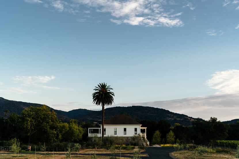 Erda Tea and its herb gardens are located on 6.5 acres in Napa. It's also where owner Annie...