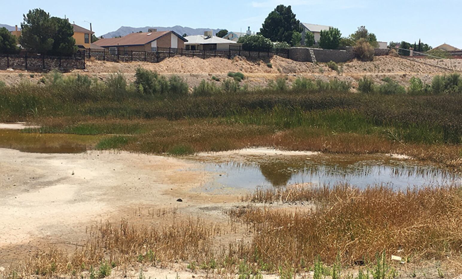 Standing water in a reservoir behind homes in El Paso is an area treated by vector control...