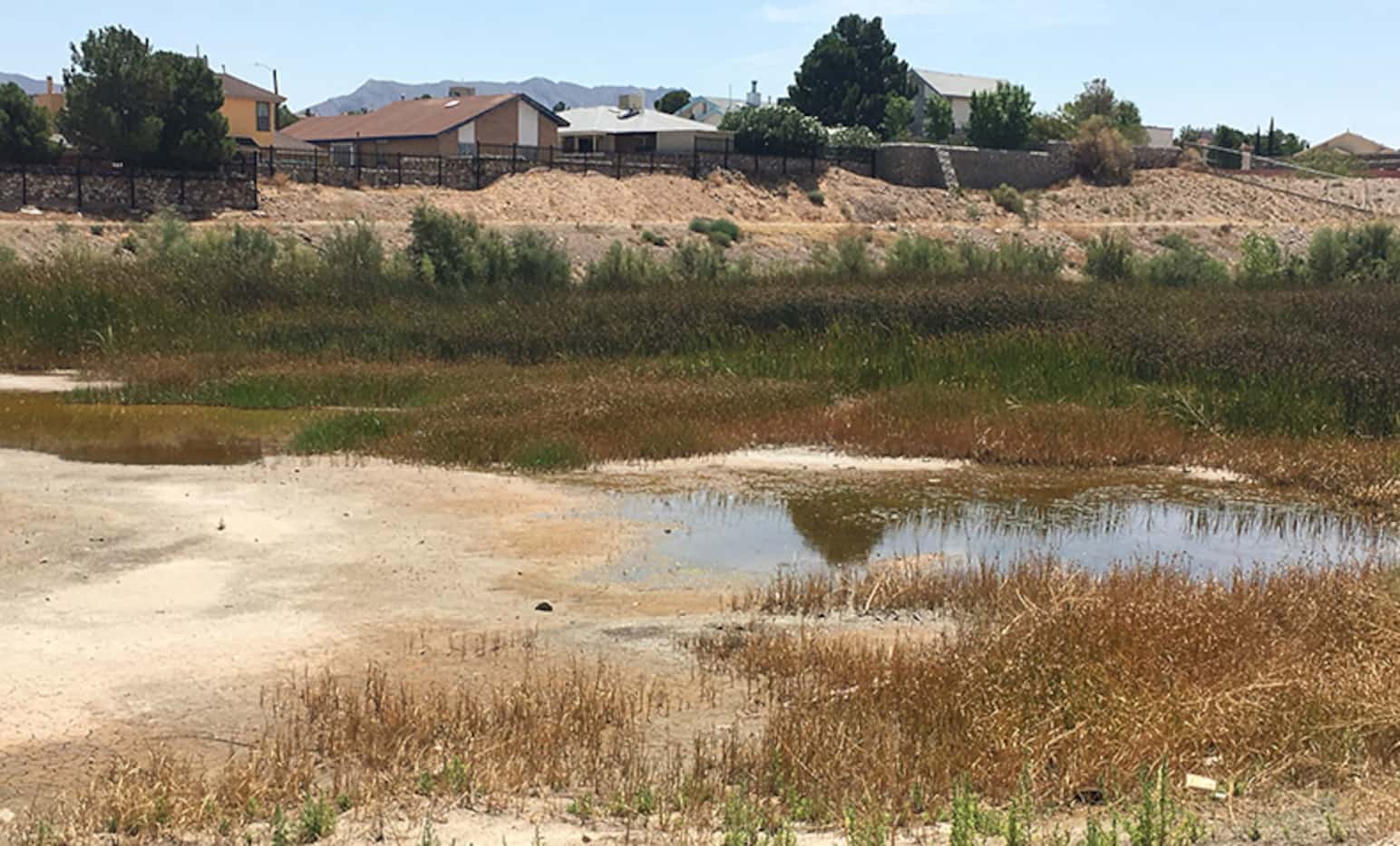 Standing water in a reservoir behind homes in El Paso is an area treated by vector control...