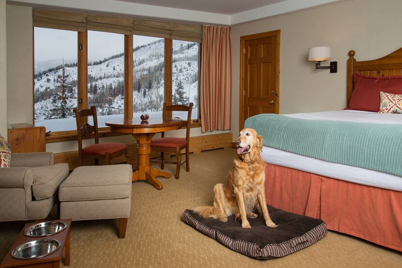 Pup pillow service at the Pines Lodge, Beaver Creek