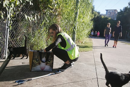 Two feral cats emerge as Tina Hoskins, trap-neuter-return director for Dallas Pets Alive,...