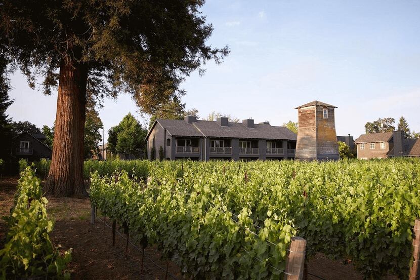 The Senza Hotel, located between the towns of Napa and Yountville in Northern California,...